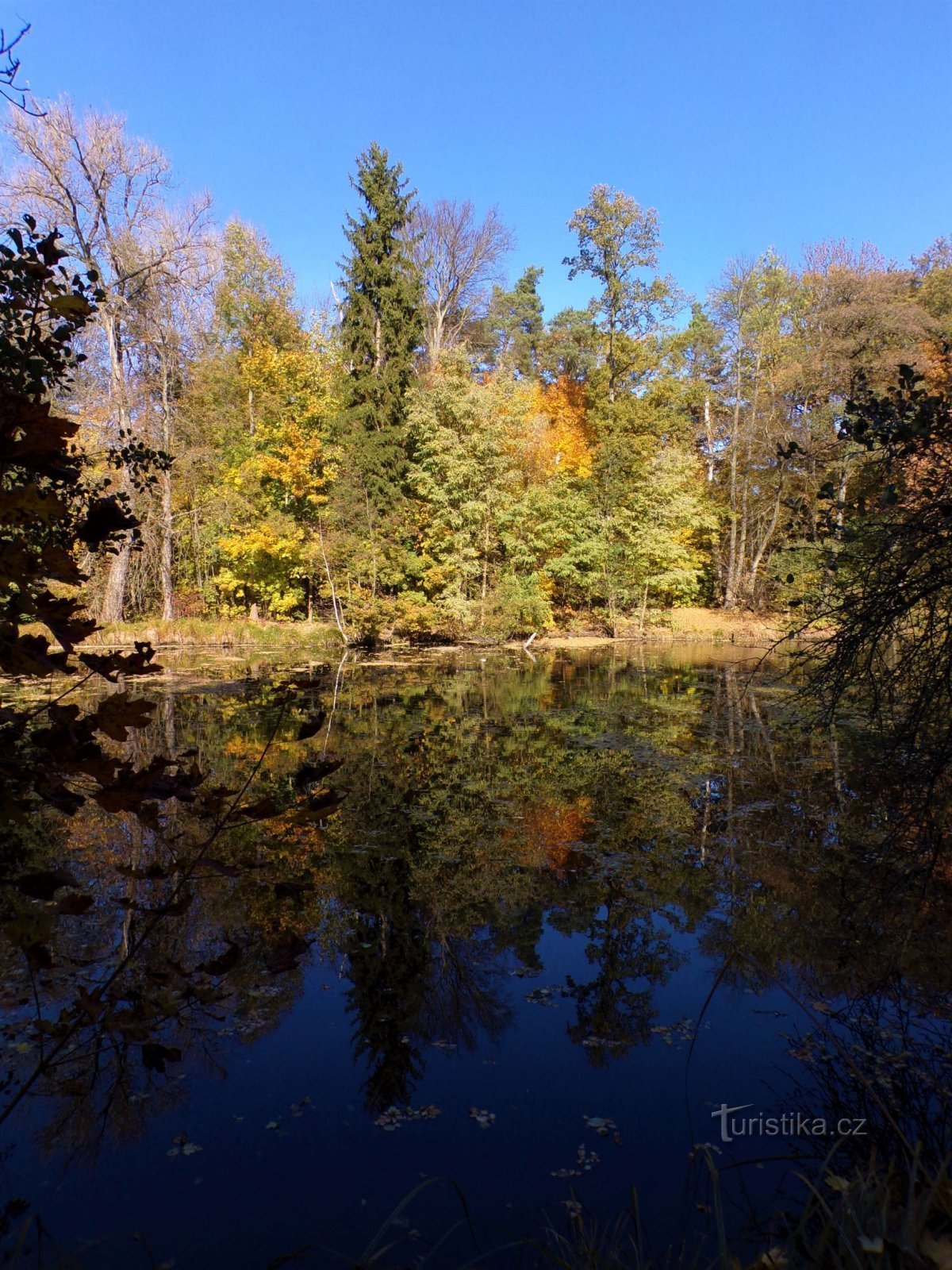 Бейковна (Градец Кралове, 29.10.2021)