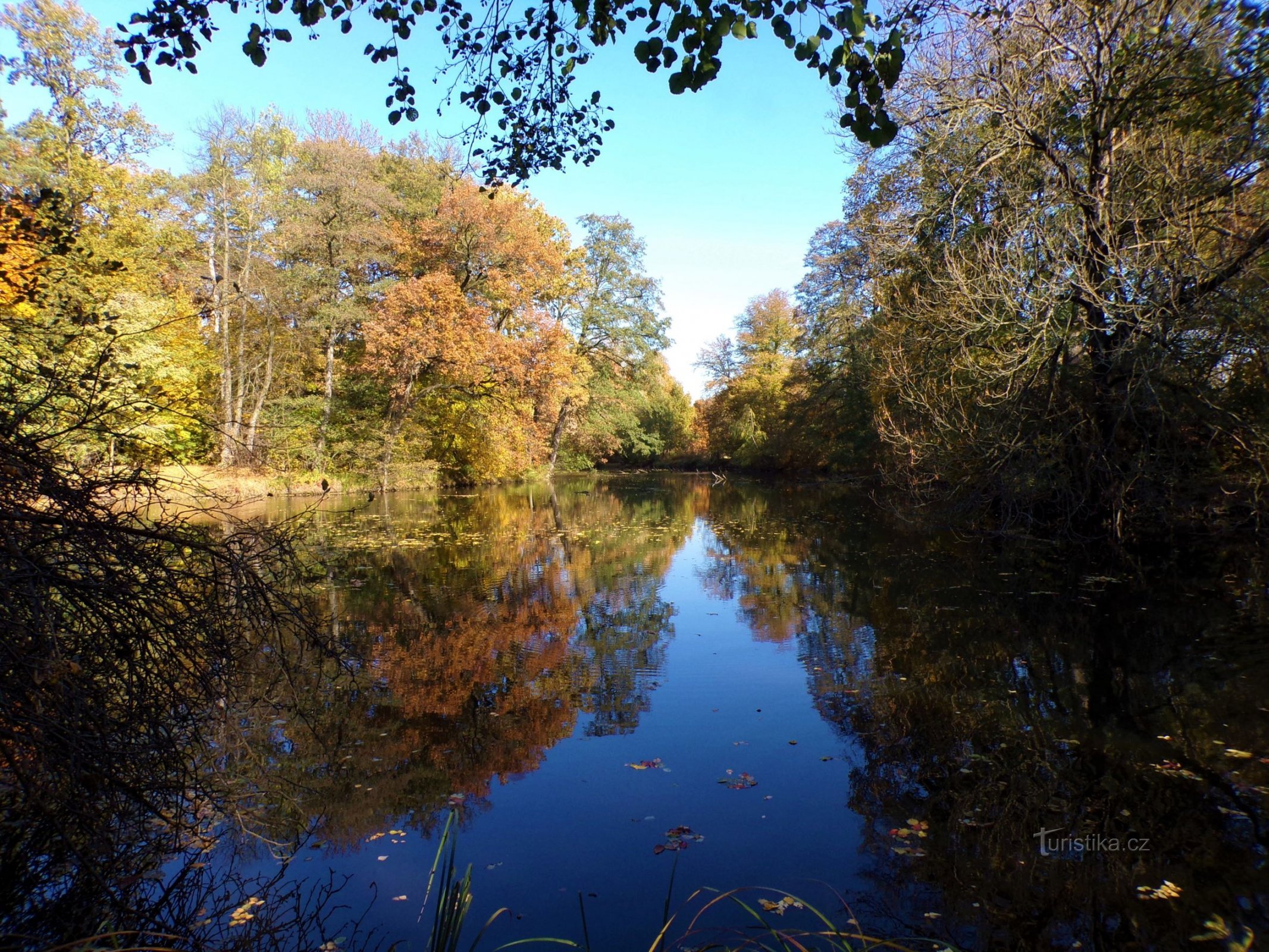 Bejkovna (Hradec Králové, 29.10.2021)