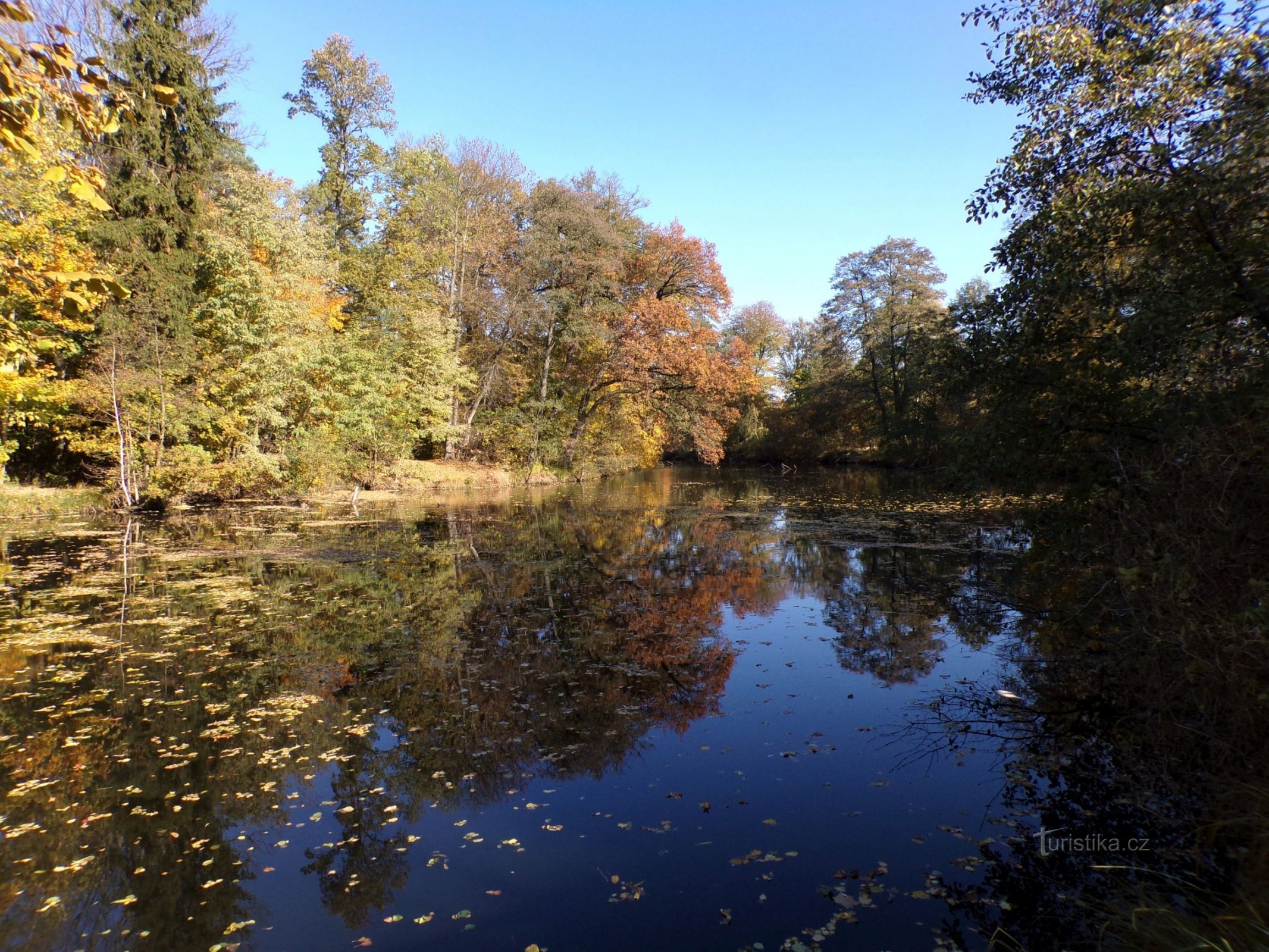 Bejkovna (Hradec Králové, 29.10.2021/XNUMX/XNUMX)