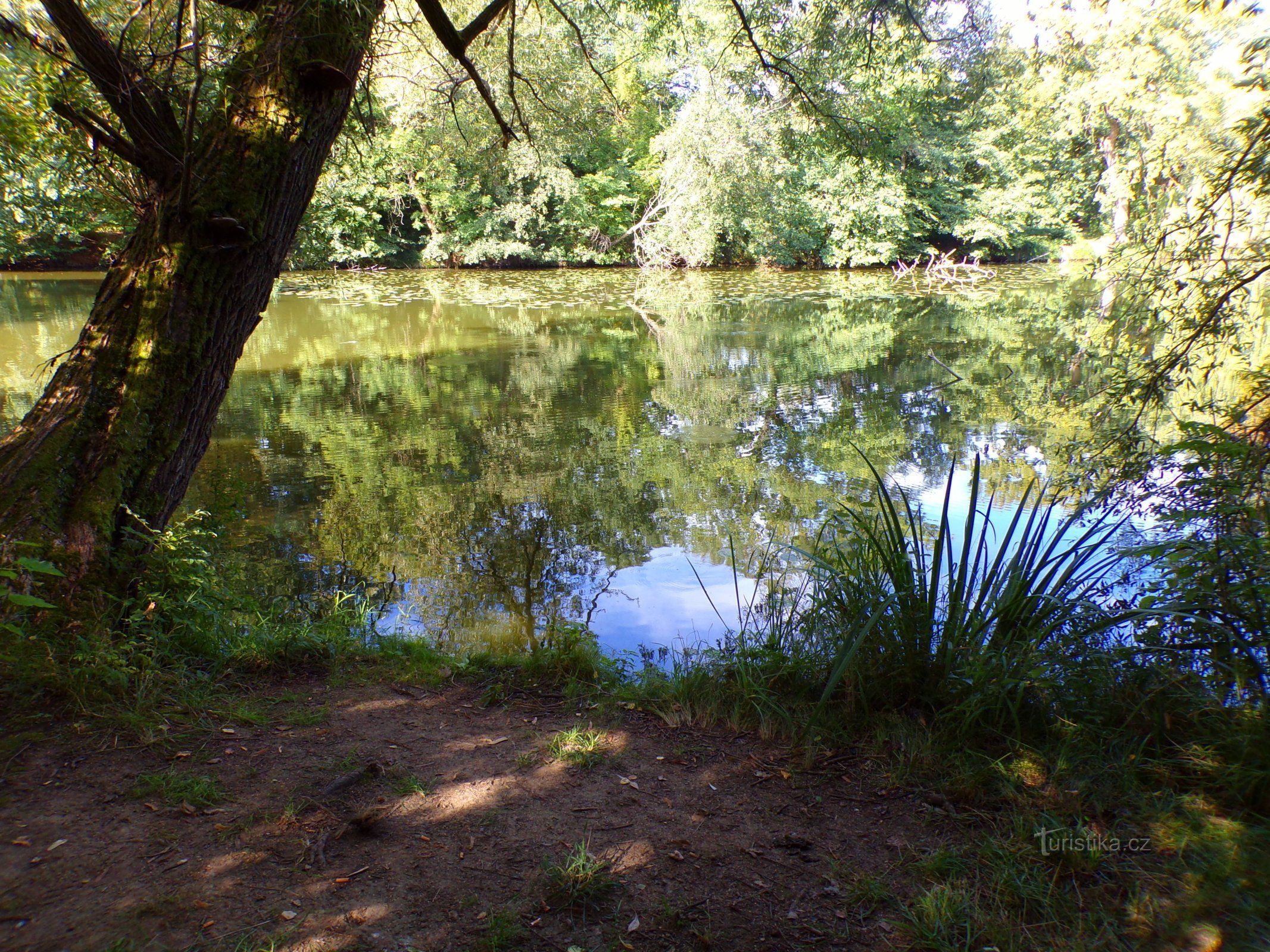 Bejkovňa (Hradec Králové, 3.9.2022)