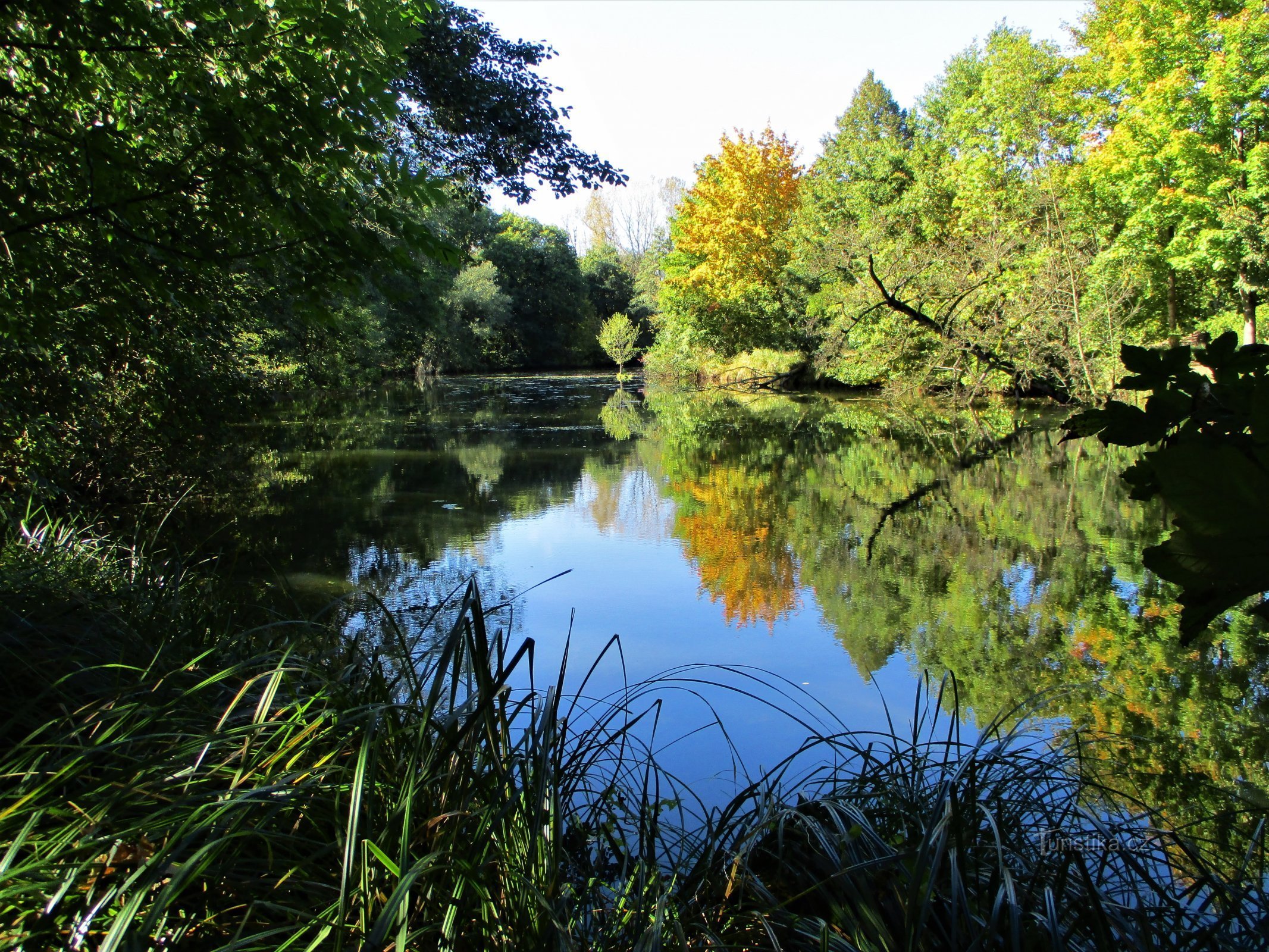 Bejkovna (Malšovice)