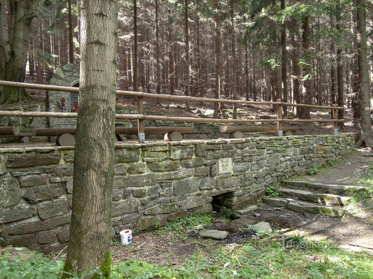 Bělá pod Pradědem – Domašov – primavera de Maria