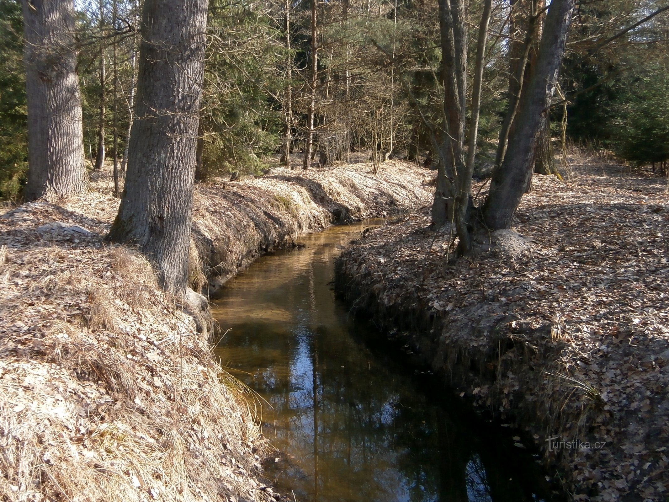 Bělečský potok (Běleč nad Orlicí)