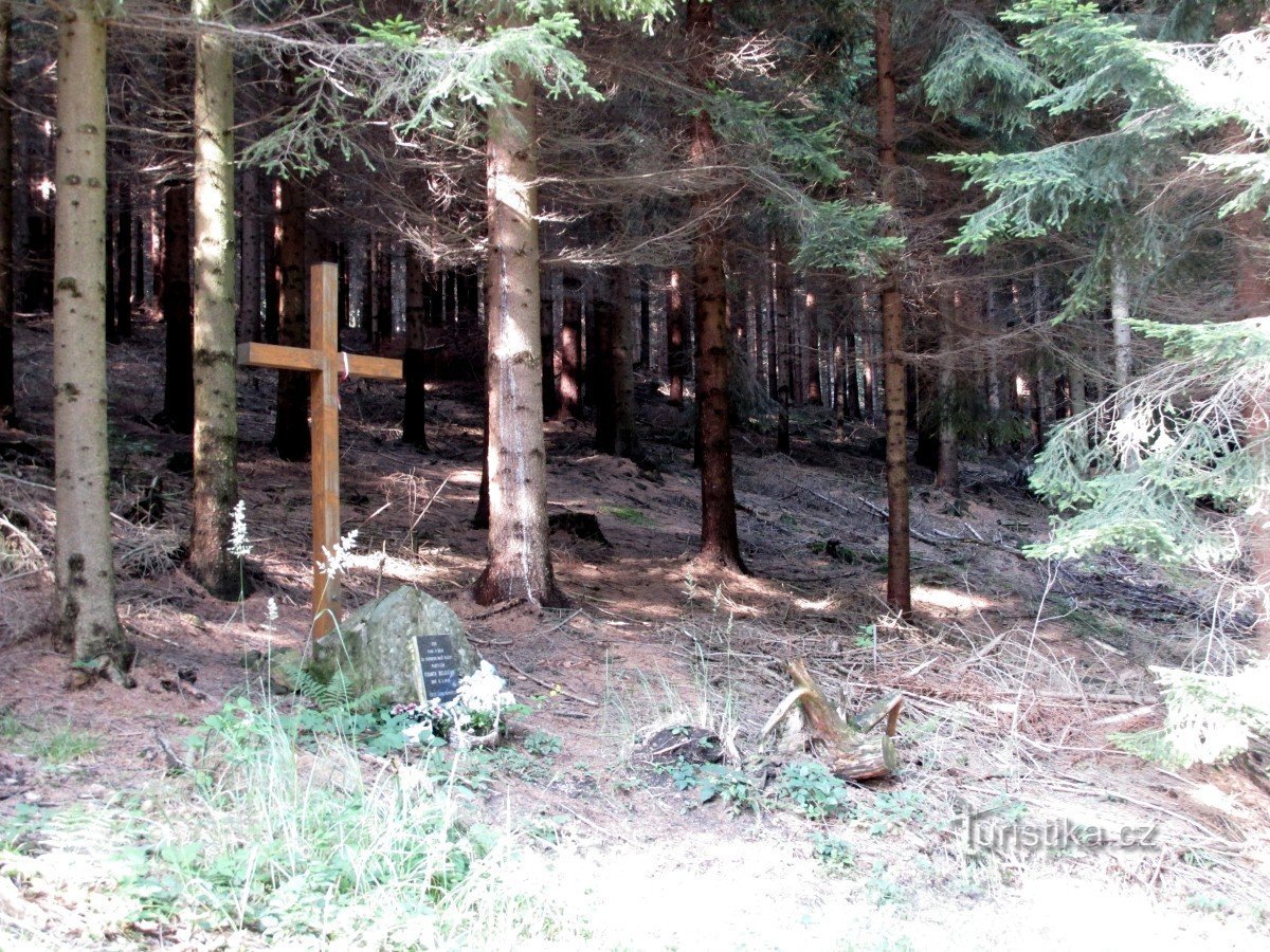 Un belgian pe nume Franta. Mormânt de pădure în Láze.