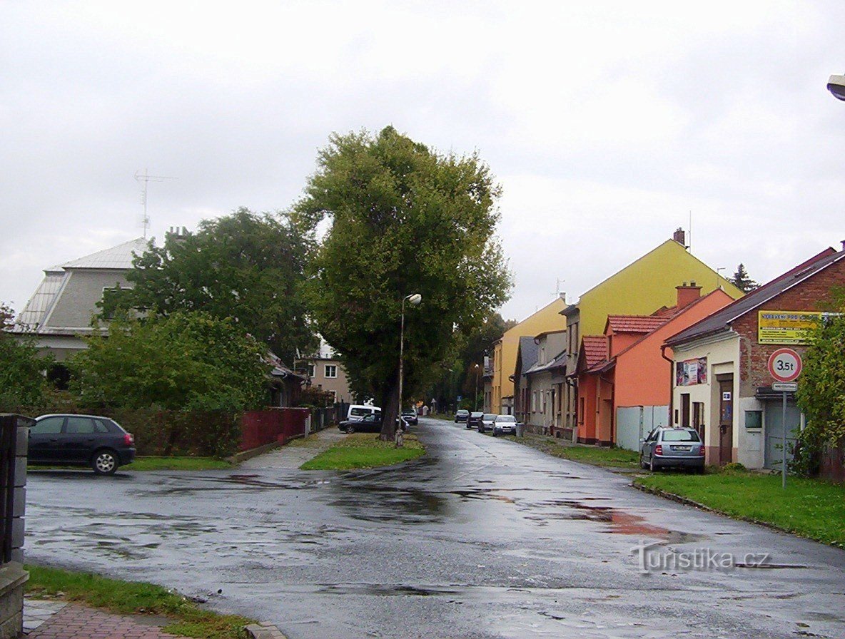 Calle Bělidla-Táboritú-Foto: Ulrych Mir.