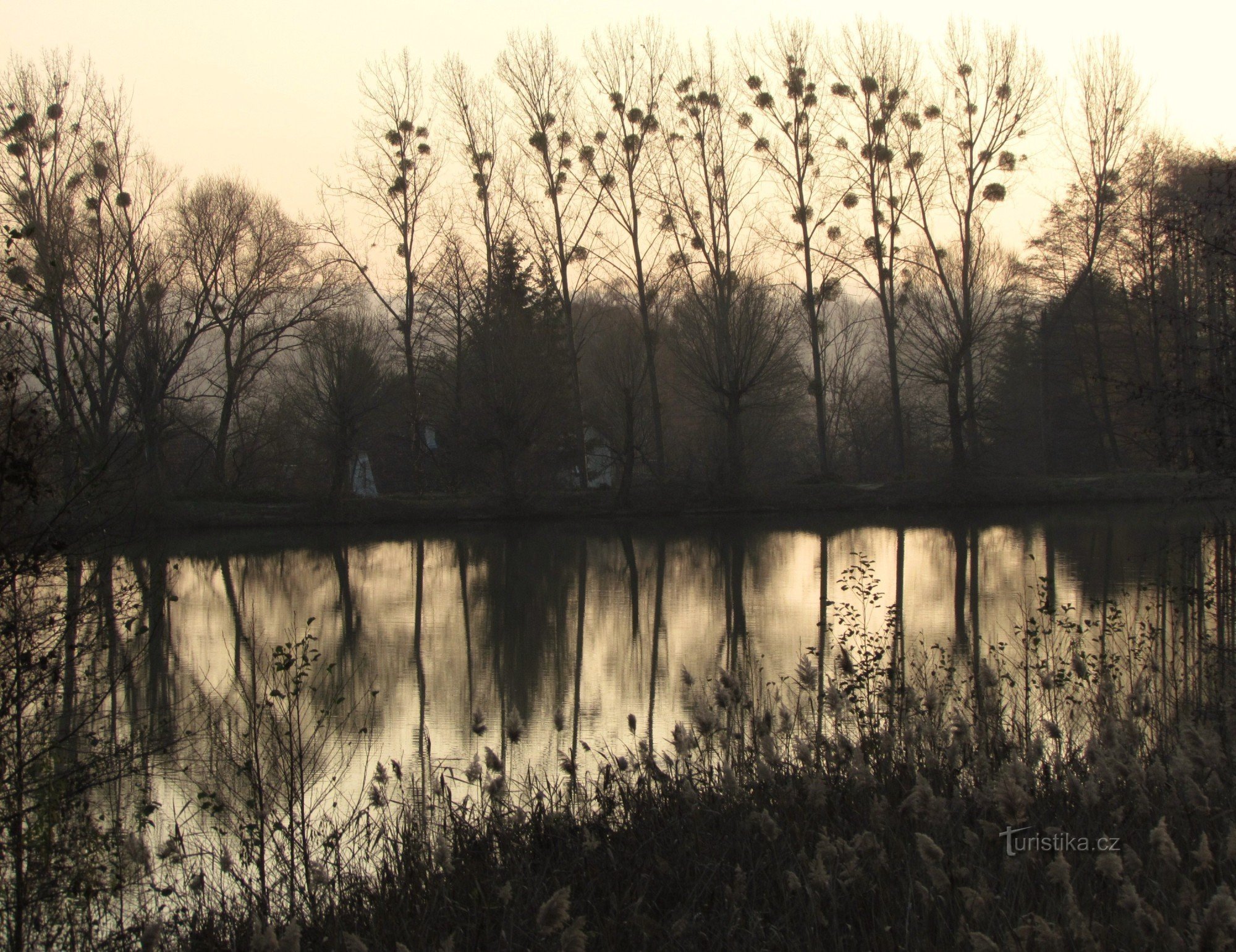 Bělovodské ponds - Lukov