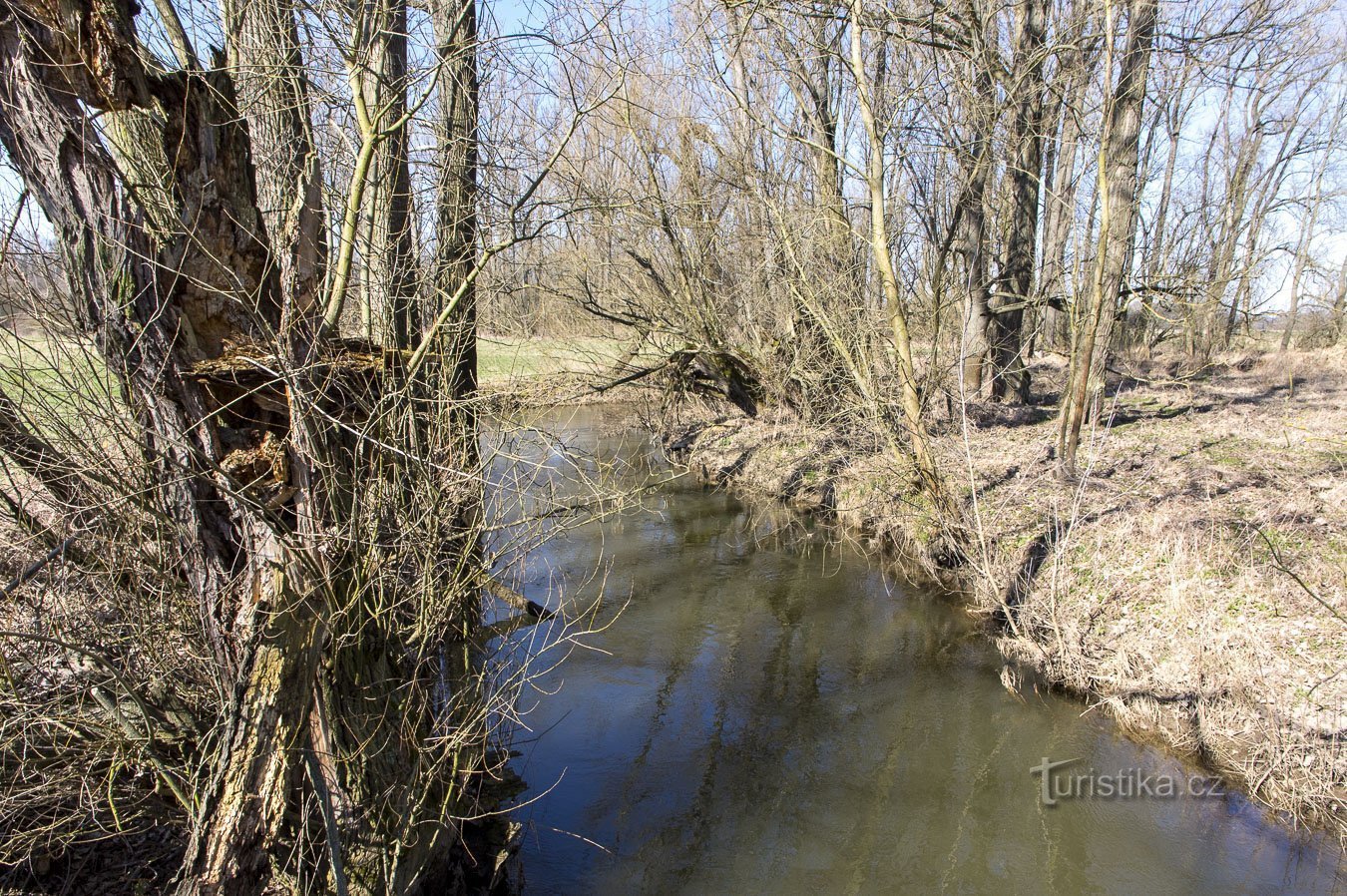 Benkovský potok vypadá jako říční rameno