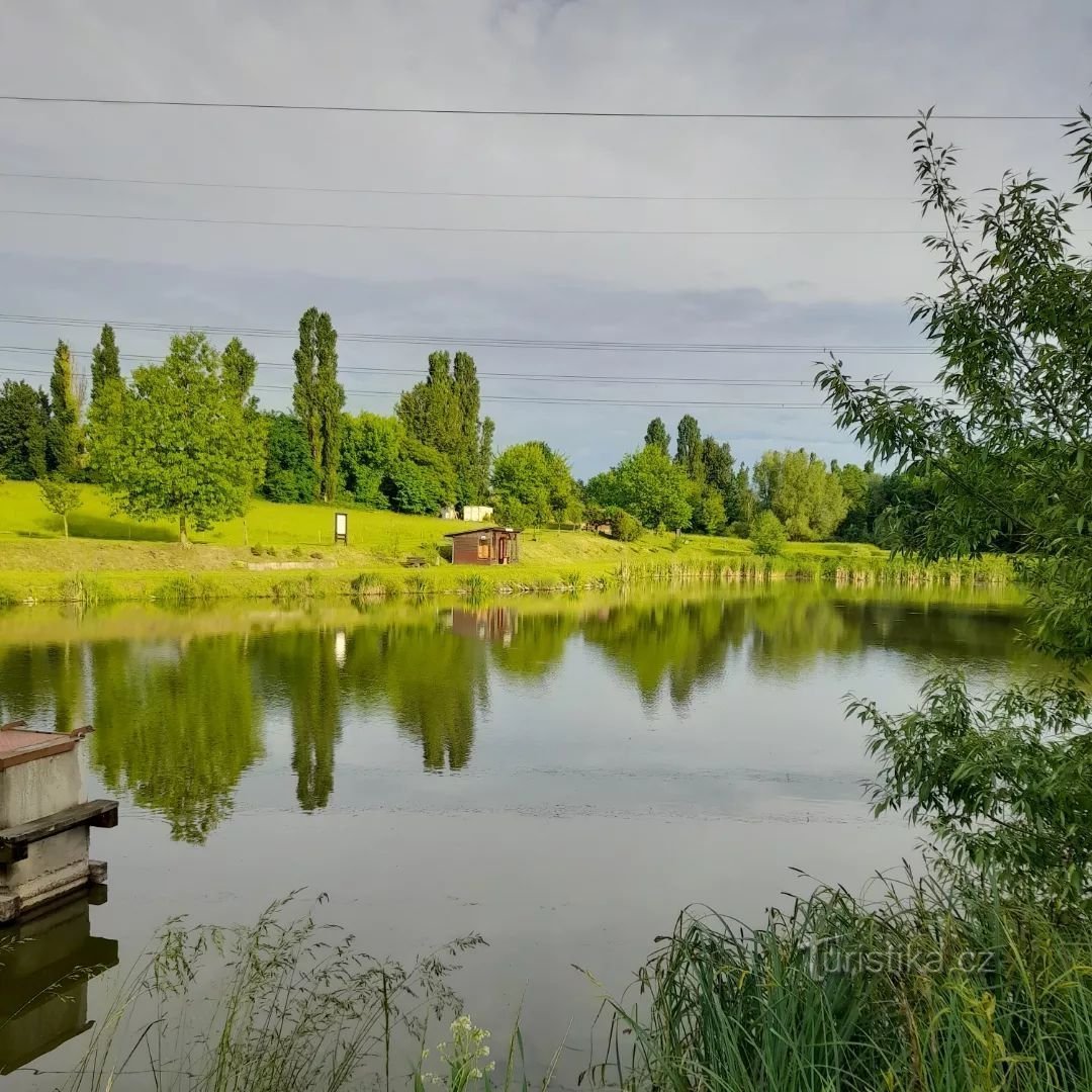 Беньовський ставок