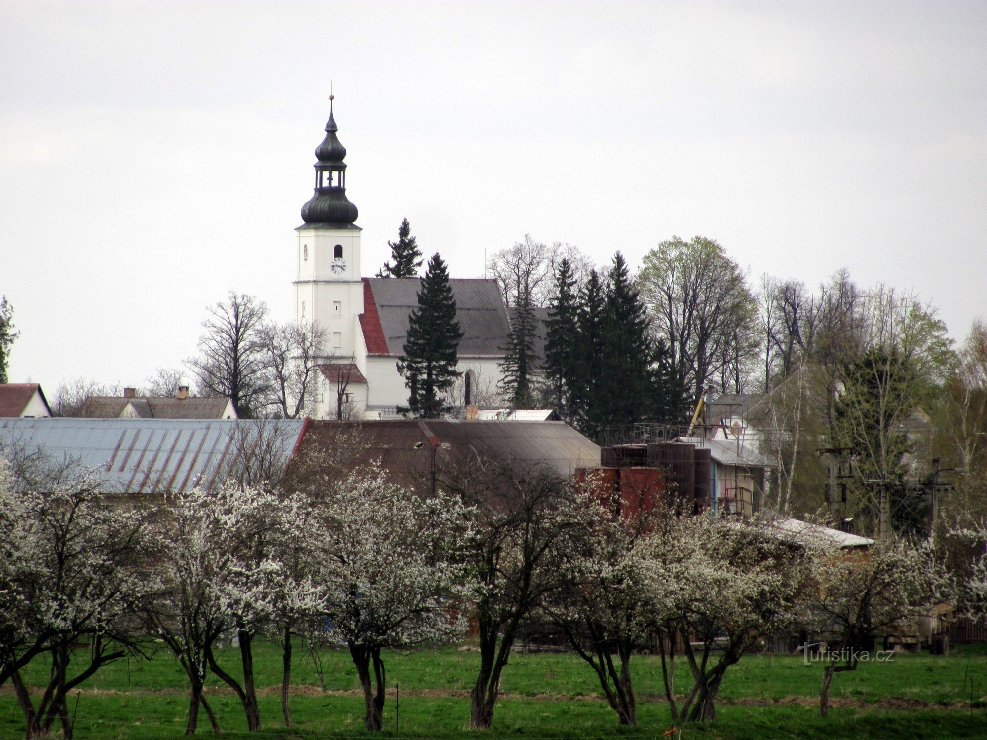 Бернартіче