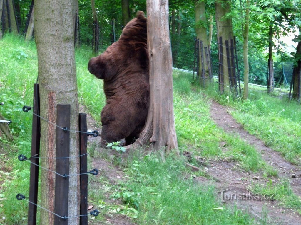 Beroun a staré lomy nad Tetínem