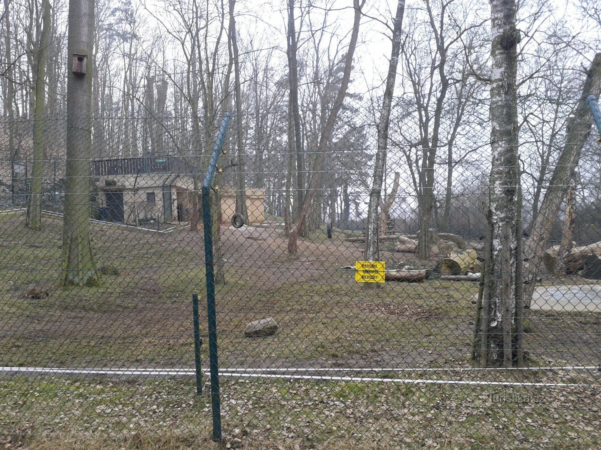 Beroun bears with a lookout tower