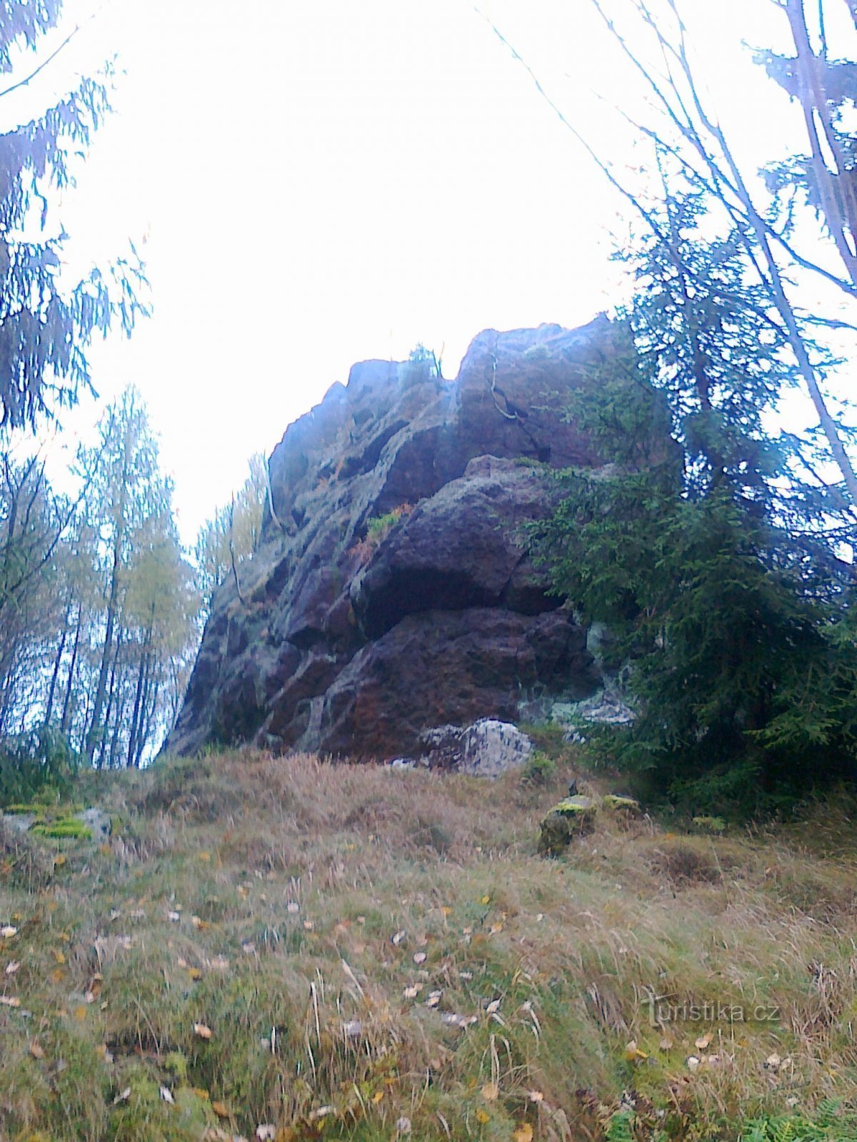 Torre de Berschl.