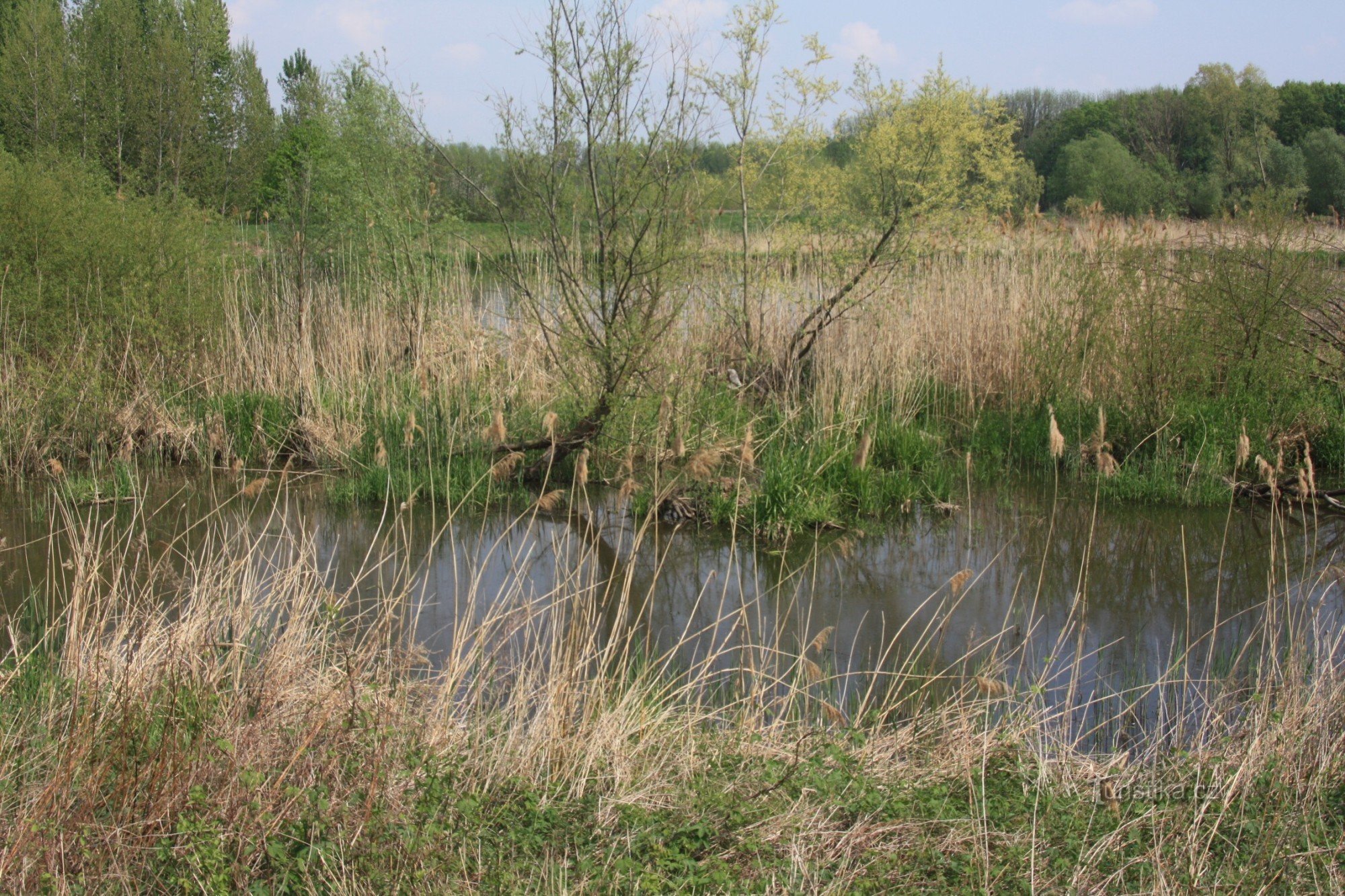 Betlehem - ett naturminne