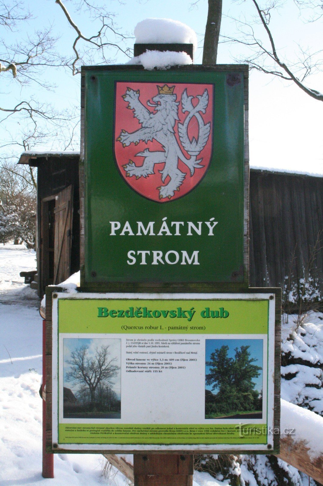 Bezděkovský tammi