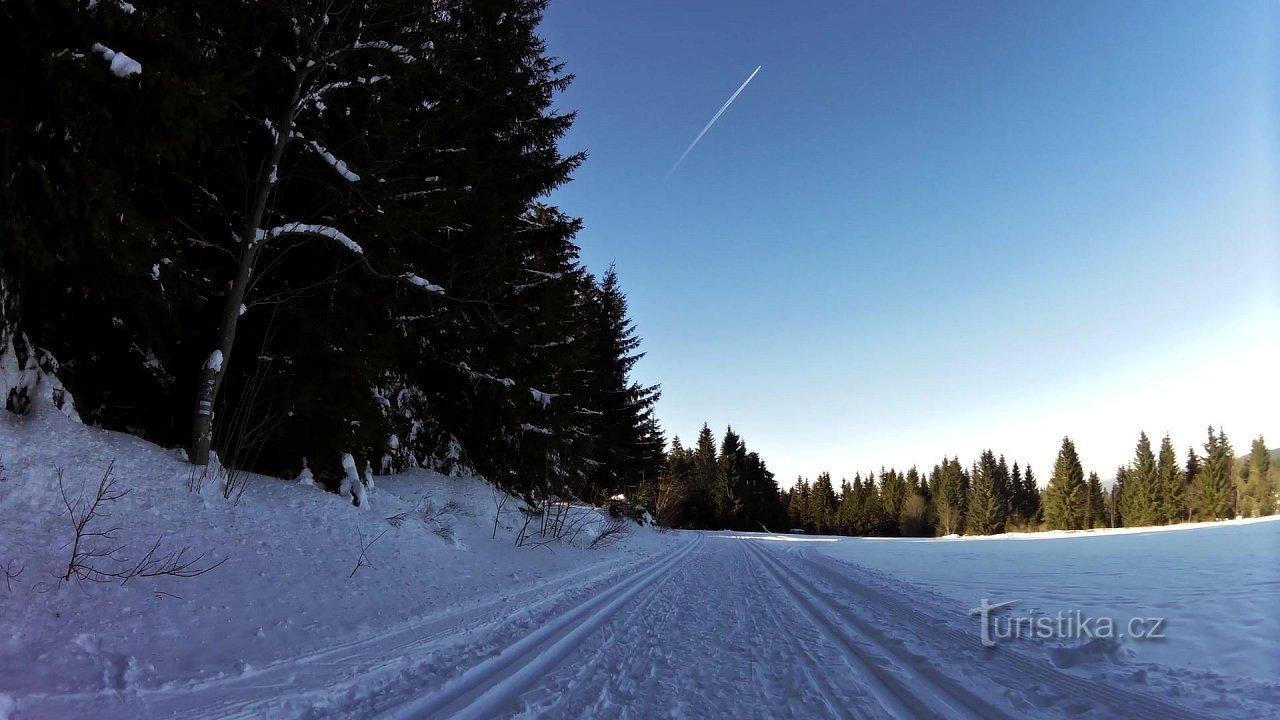 Area di corsa Zadov - Churáňov