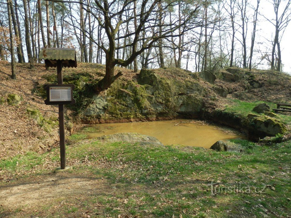 Bottomless with an information sign