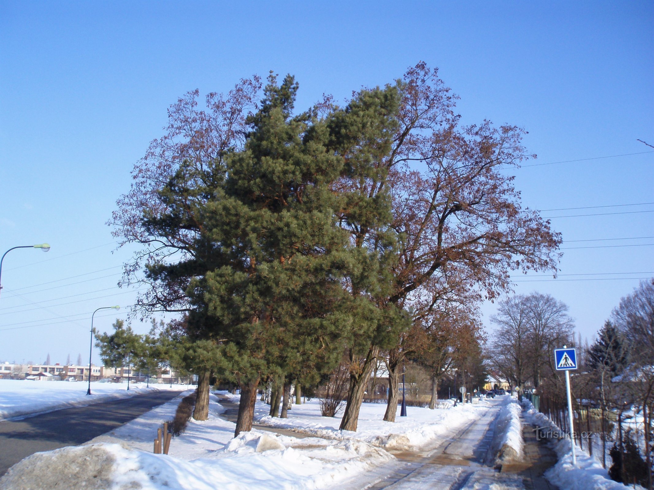 Parc sans nom à l'arrivée à Plácky (Hradec Králové)