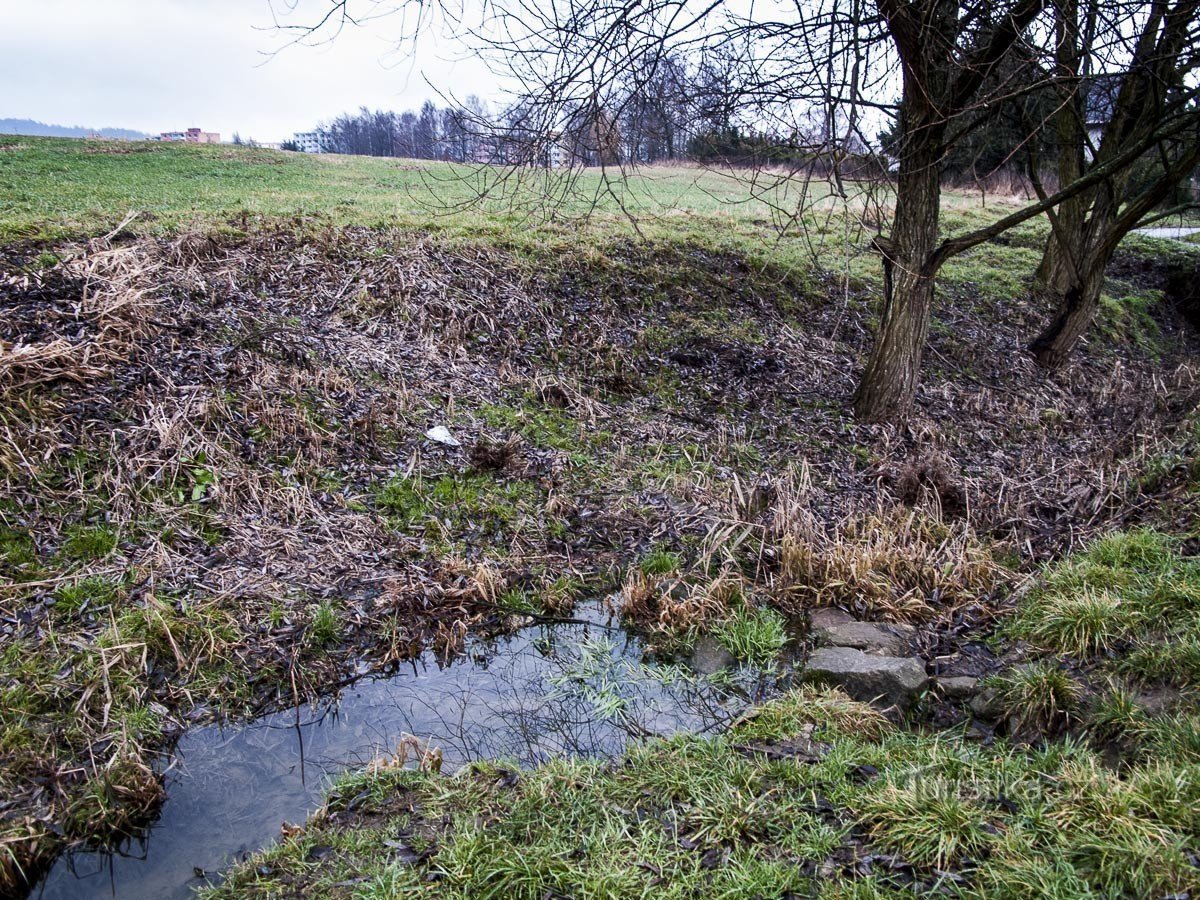 Un ruisseau sans nom