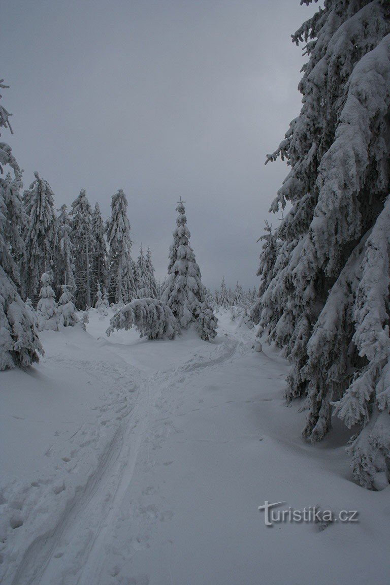 Staza za skijaško trčanje u blizini vrha