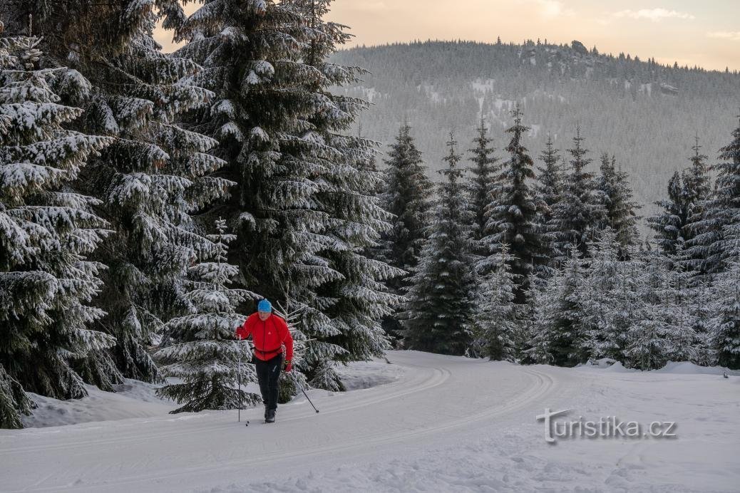 Ski de fond à Jizerka