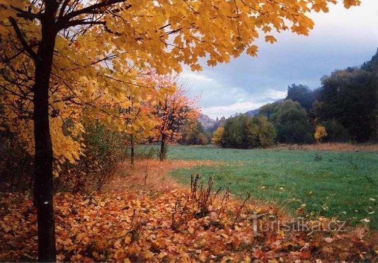 Bezručovo údolí