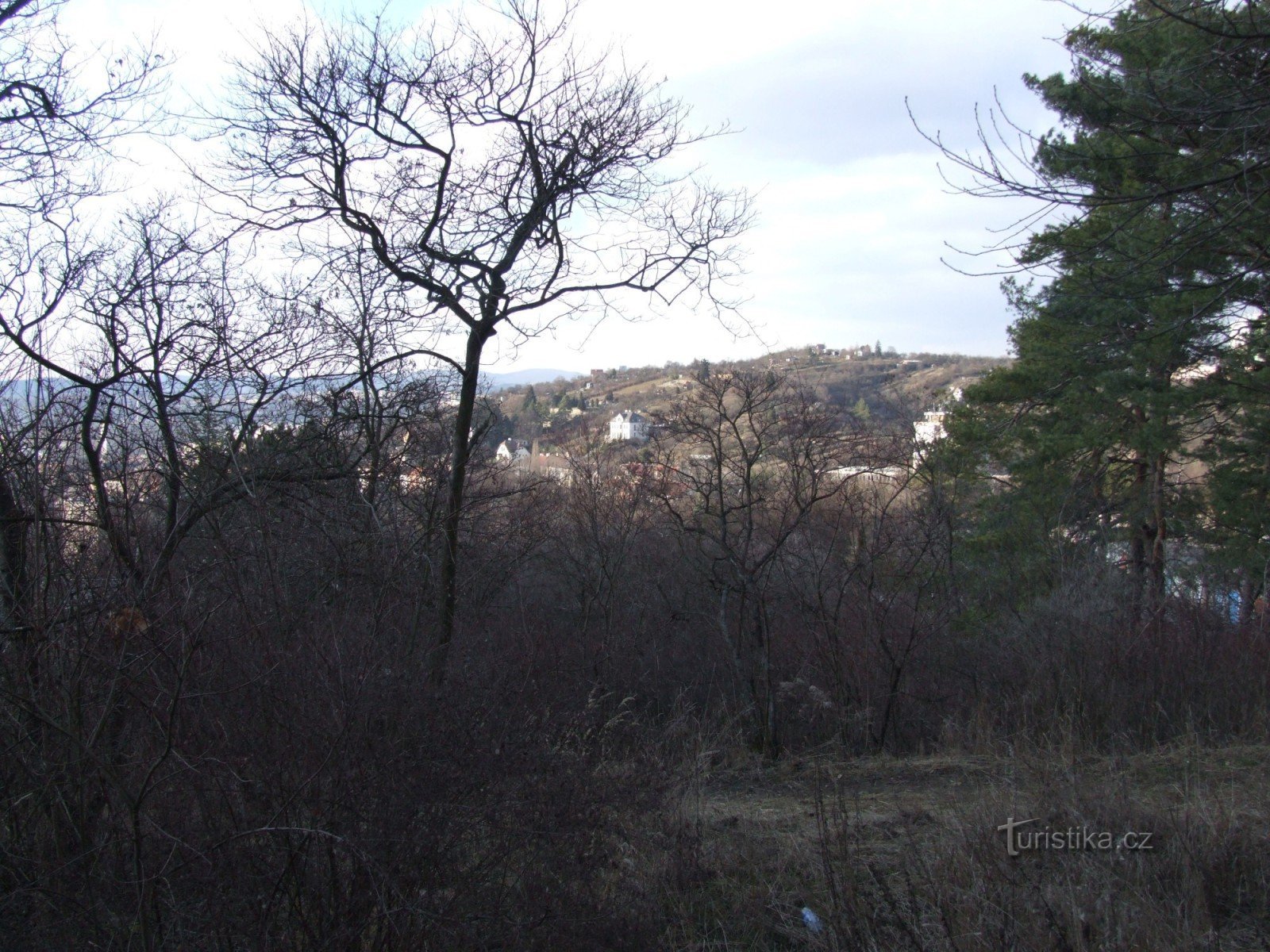 Weißer Berg - Blick auf S