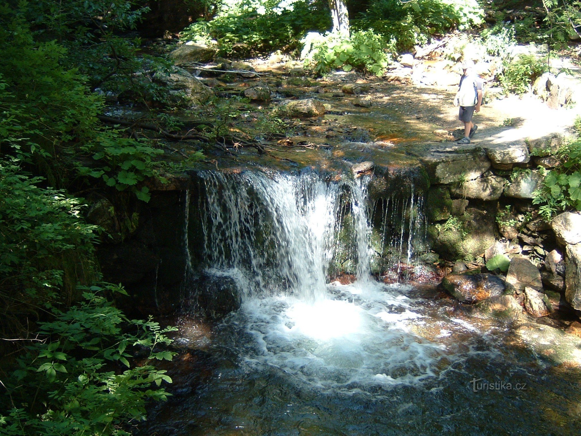 Valkoinen Opava