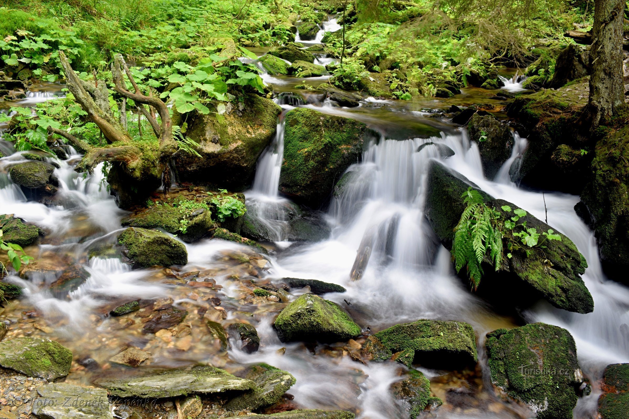 Bílá Opava - drumeție pe traseul natural.