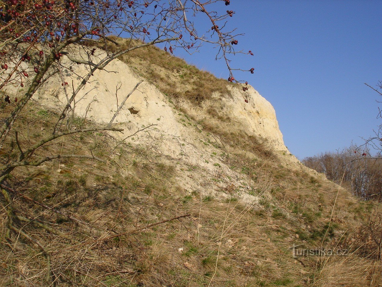 Roche blanche