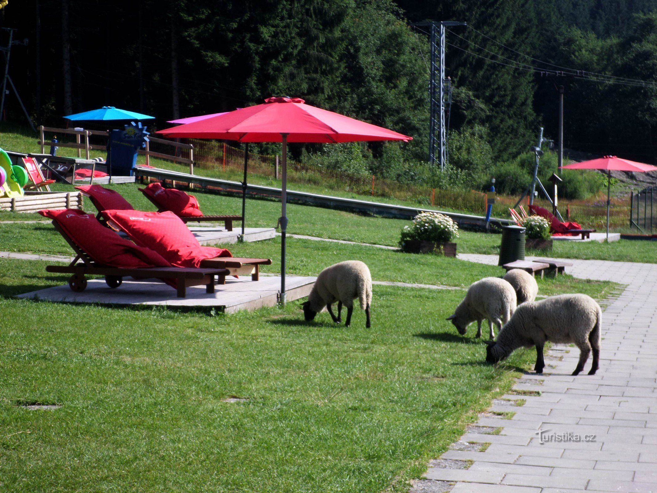 Bílá - Smradlavá - Salajka - Bumbálka