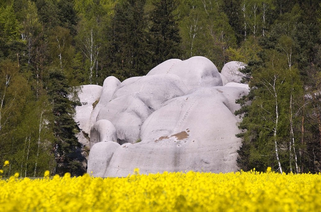 Piedras blancas