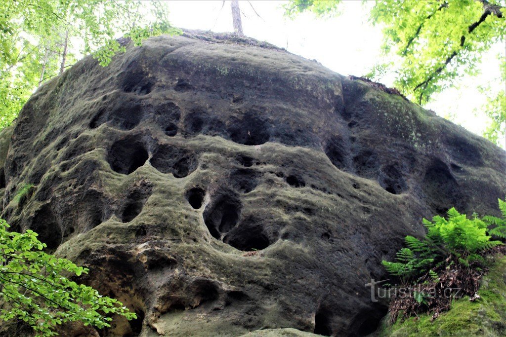 Pedras brancas, rocha com buracos