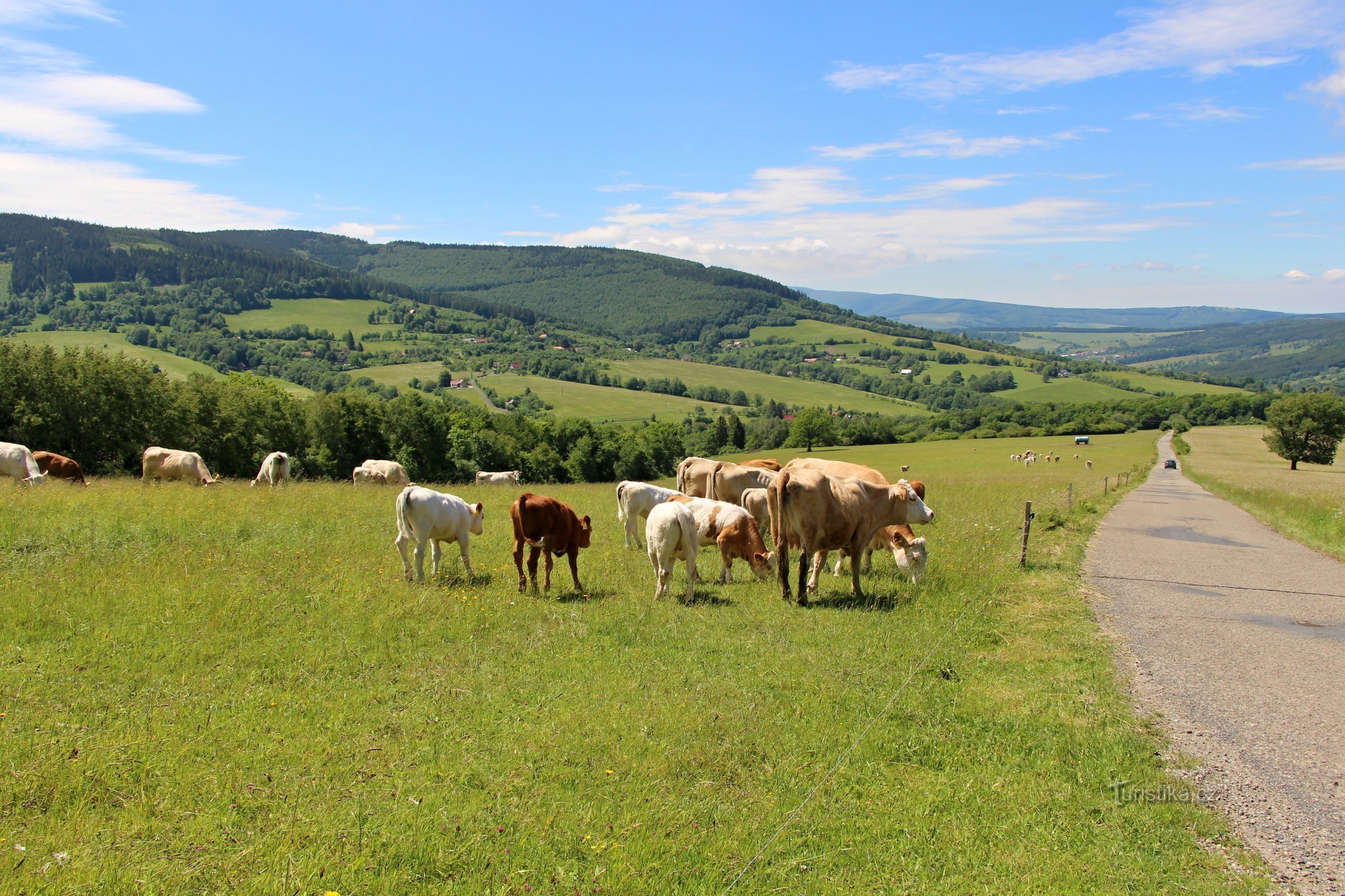 Weiße Karpaten - Moravské Kopanice: an der Straße zwischen Lopeník und Mikulčiný vrch