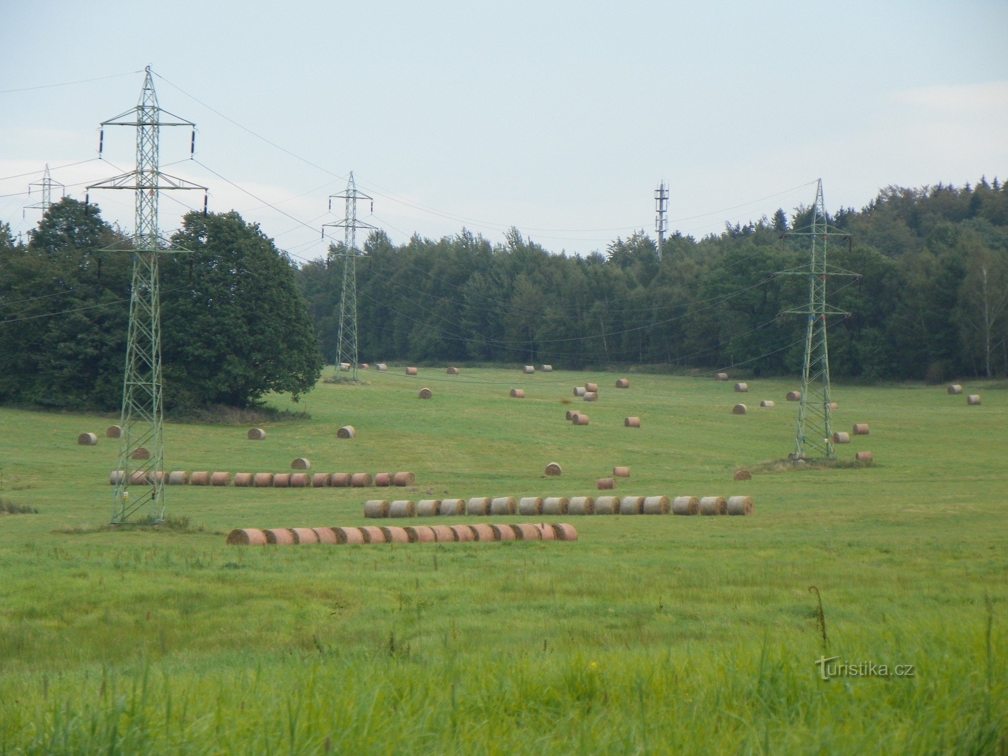 Blanc (pierres d'éléphant)