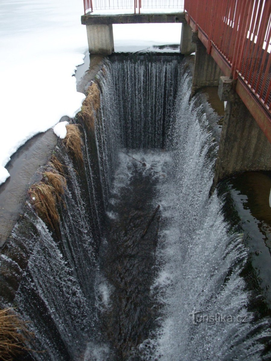 Bilý Halštrov - dam /Weisse Elster/