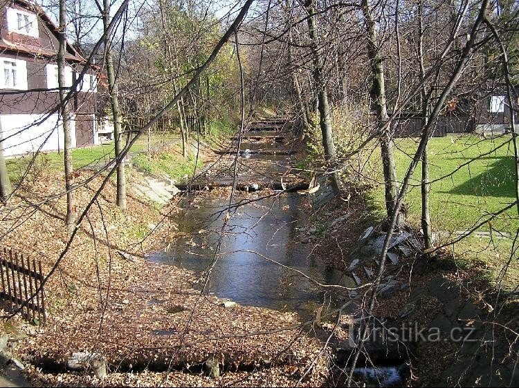 White Stream: Dòng suối trắng