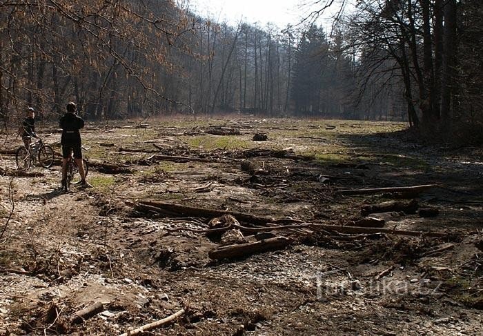 White Brook: Nous étions dans la vallée de White Brook en avril - frais après le saccage là-bas