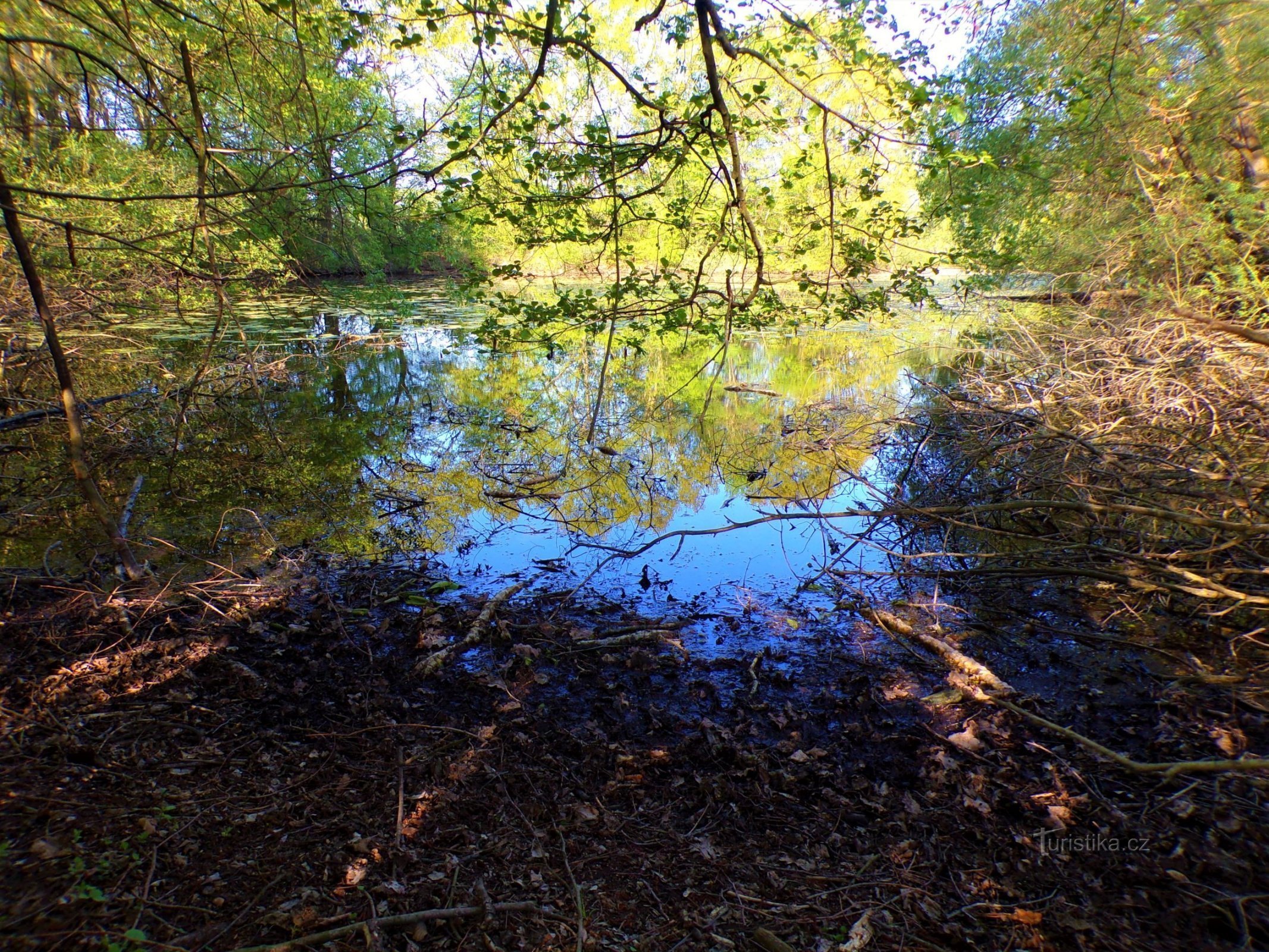 Binarin järvi (Hradec Králové, 10.5.2022)