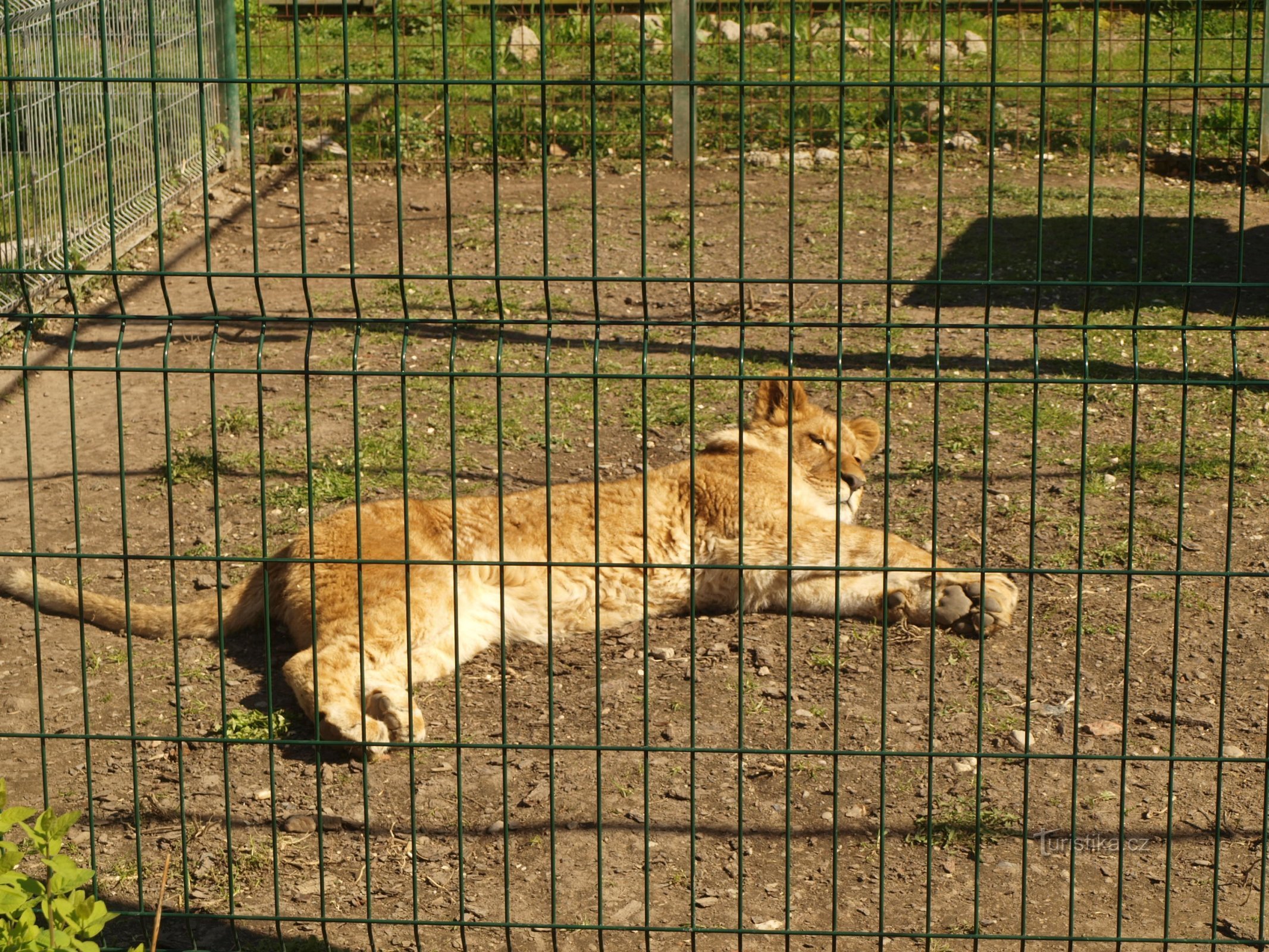 Bioparco Štít