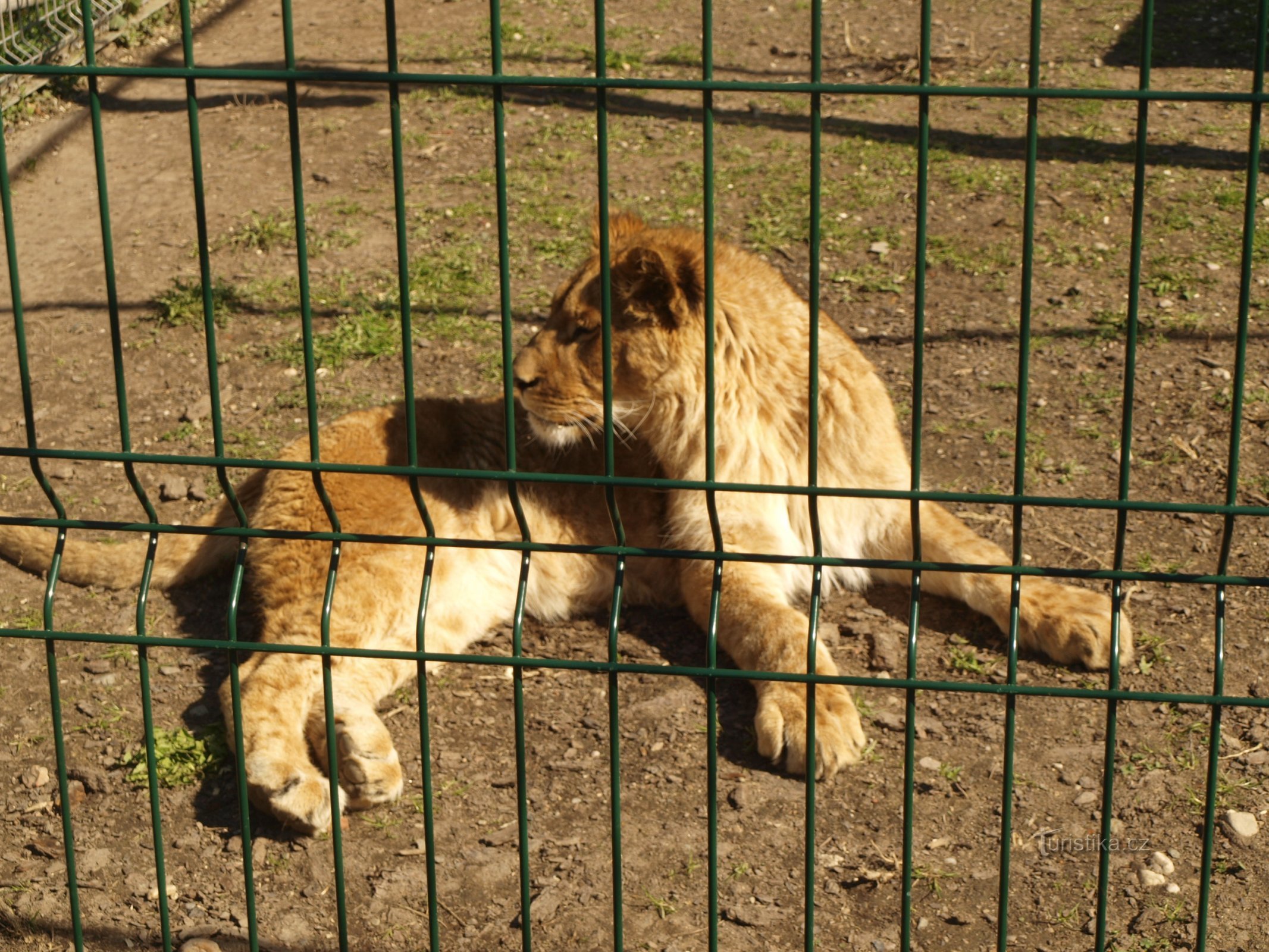 Bioparque Štít