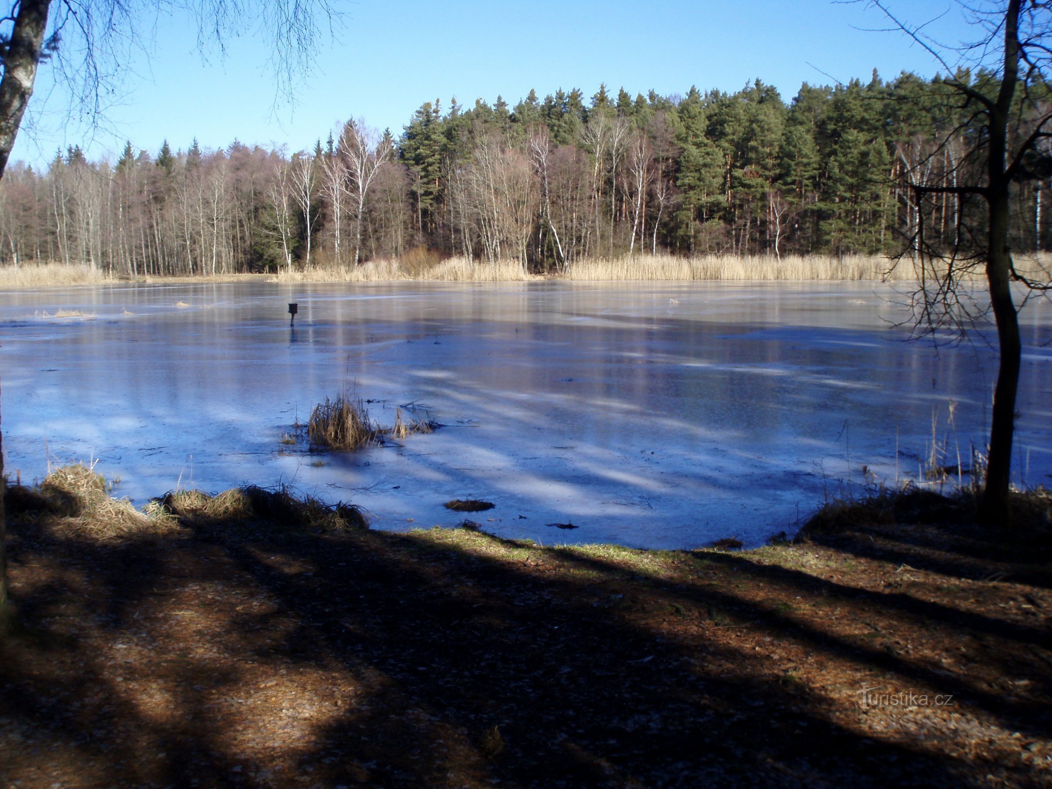 Biřička (Novy Hradec Králové)