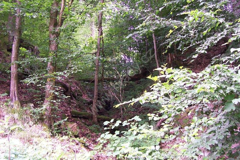 Biskoupka