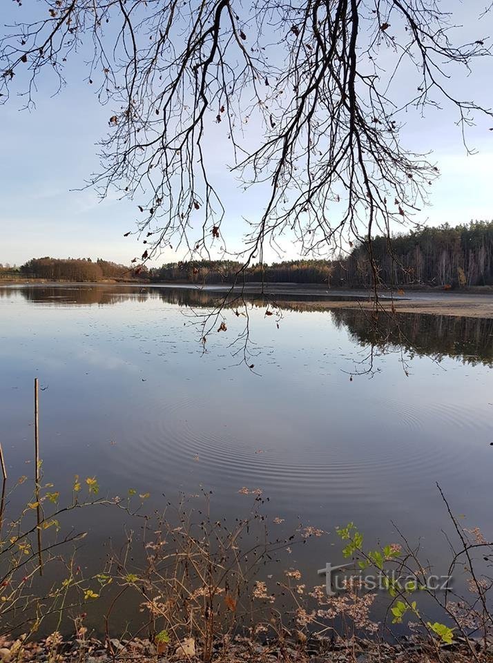 BISKUPSKÝ RYBNÍK, onderweg langs de dijk van Záhoří naar het bisschoppelijk hof