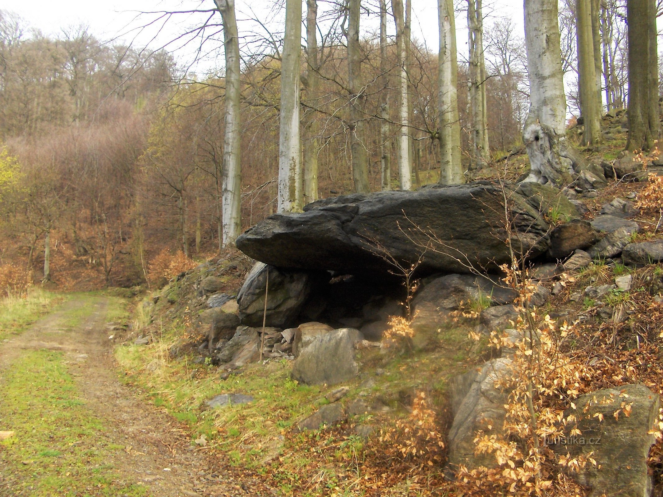 Bivouac by the road