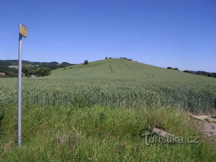 Bizovka (525) desde la encrucijada