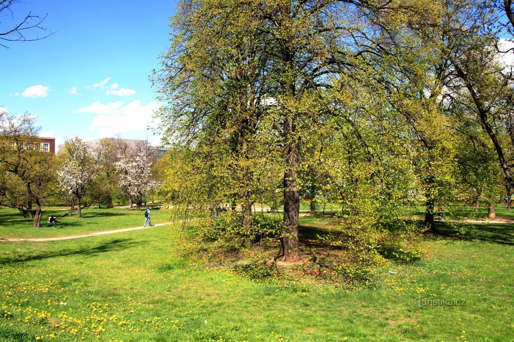 Фруктовий сад Бйорсена