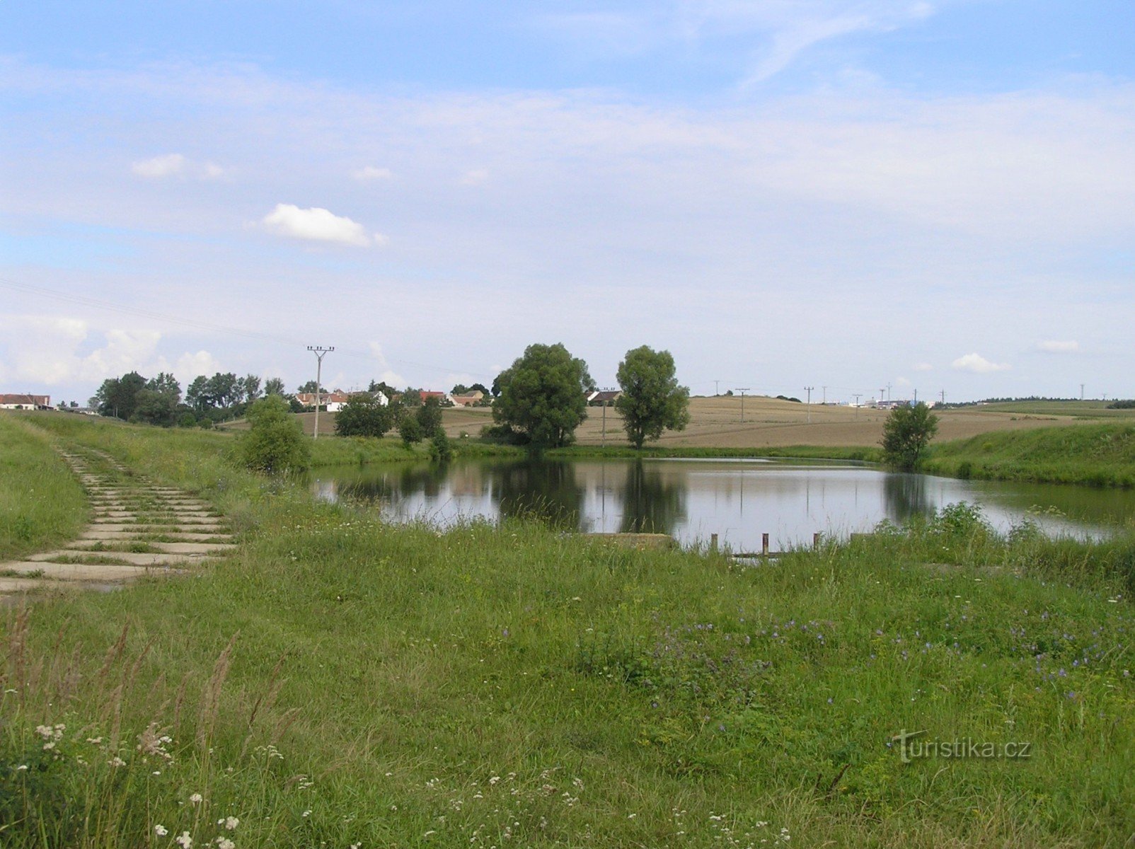 Перетинчасті