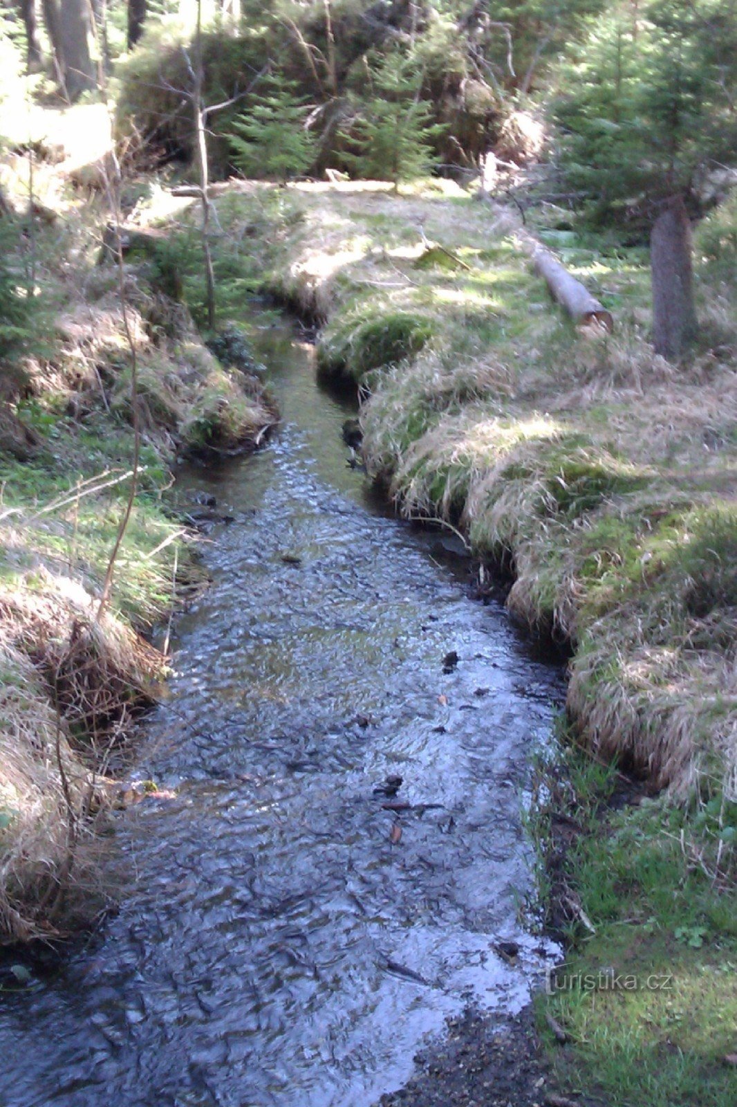 Barro en Rejvíz