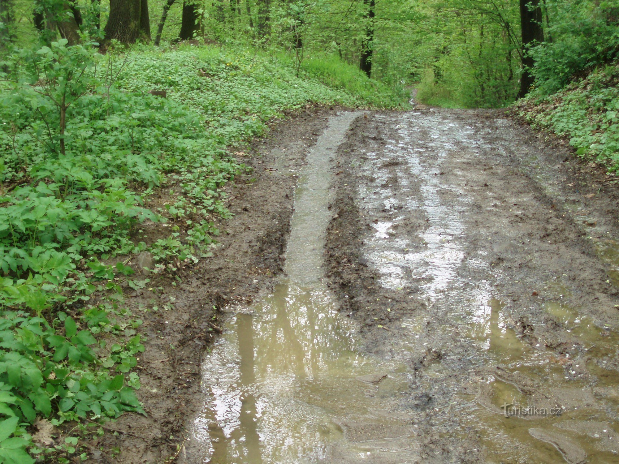 博日斯拉维的泥泞道路