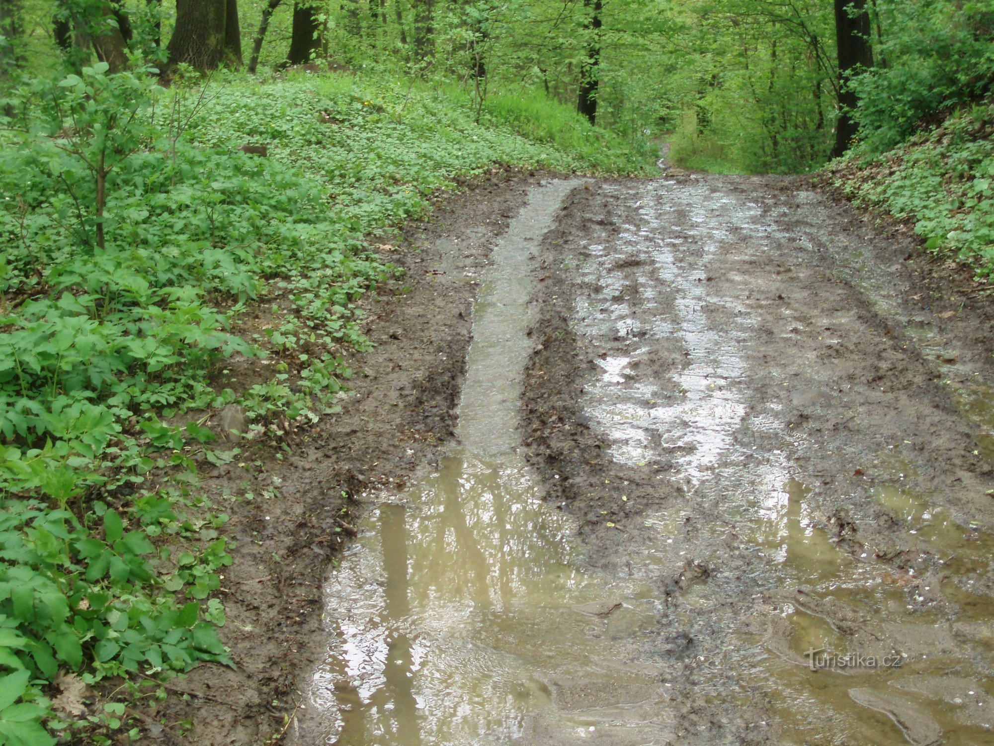 Schlammige Straße von Bořislavi